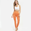 Sexy Mesh nahtloses Training Fitnessstudio Leggings Sport Frauen Fitness Mesh Kontur nahtlose Leggings